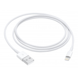 Apple Lightning til USB 1M
