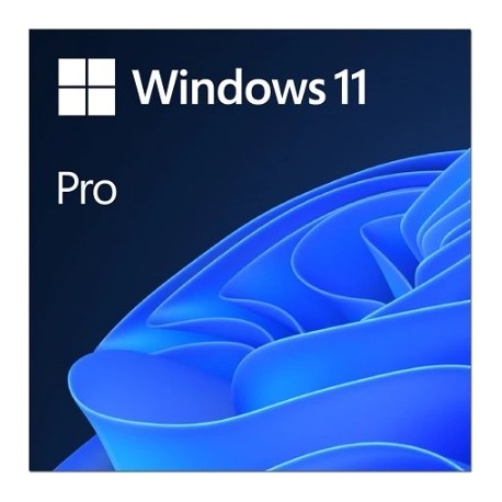 Microsoft Windows 11 Pro ESD