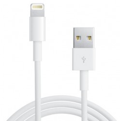 Apple Lightning to USB Cable, White (0.5M)