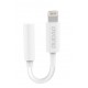 Dudao Lyd til Lightning Adapter