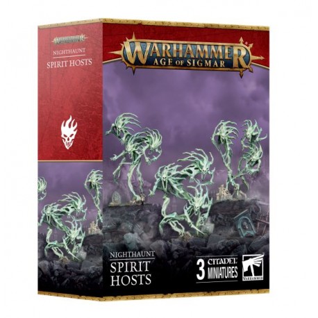 Warhammer Age of Sigmar Nighthaunt: Spirit Hosts